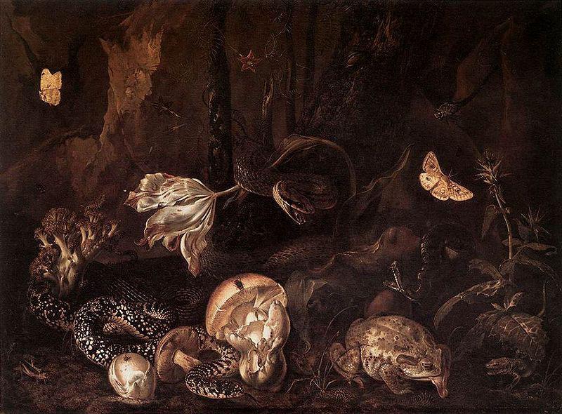 Otto Marseus van Schrieck Still life with Insects and Amphibians Norge oil painting art